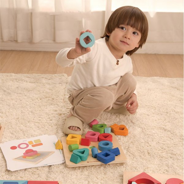 1 Set Educational Wooden Shape Match Toys