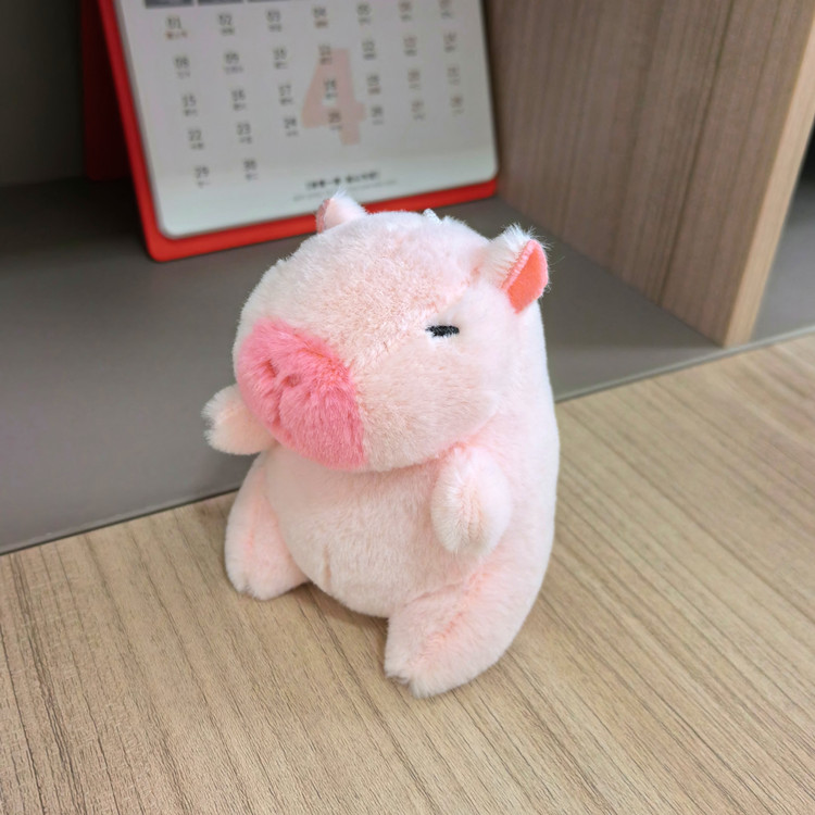 Plush Capybara Toy (1)