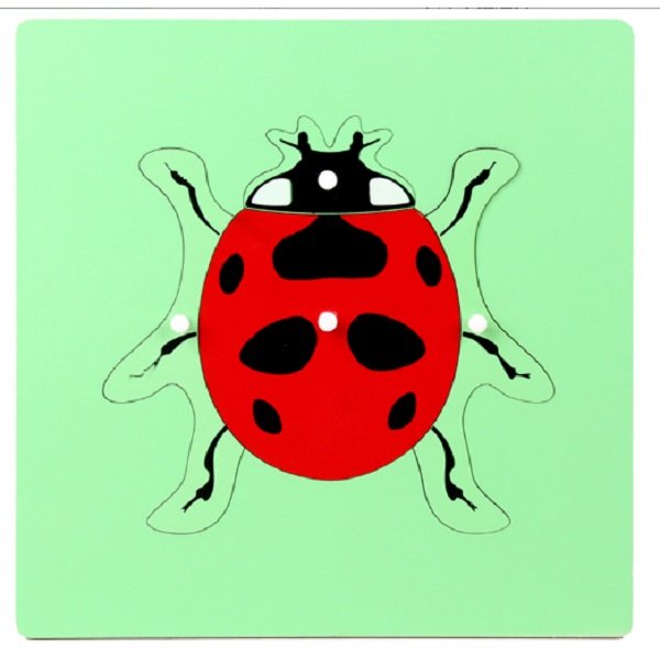 Wooden Insect Puzzle 1