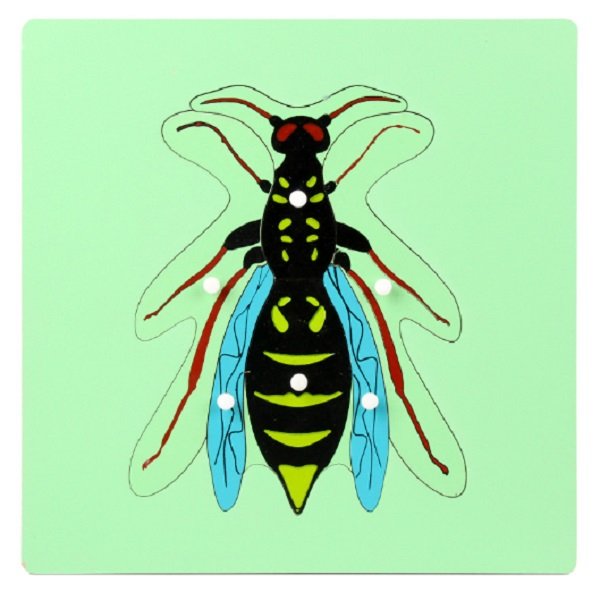 Wooden Insect Puzzle 2
