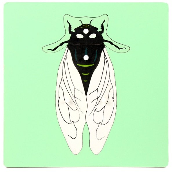 Wooden Insect Puzzle 3